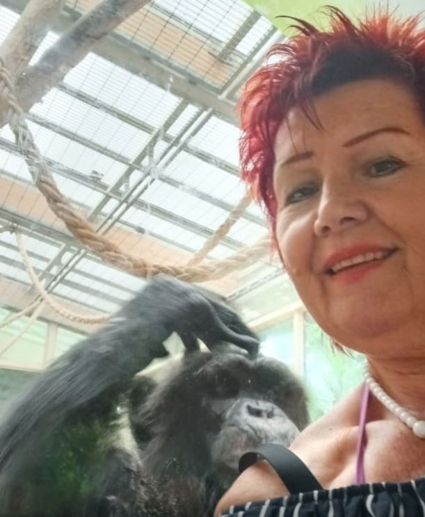 Belgium: Woman banned from going to zoo over affair with chimpanzee