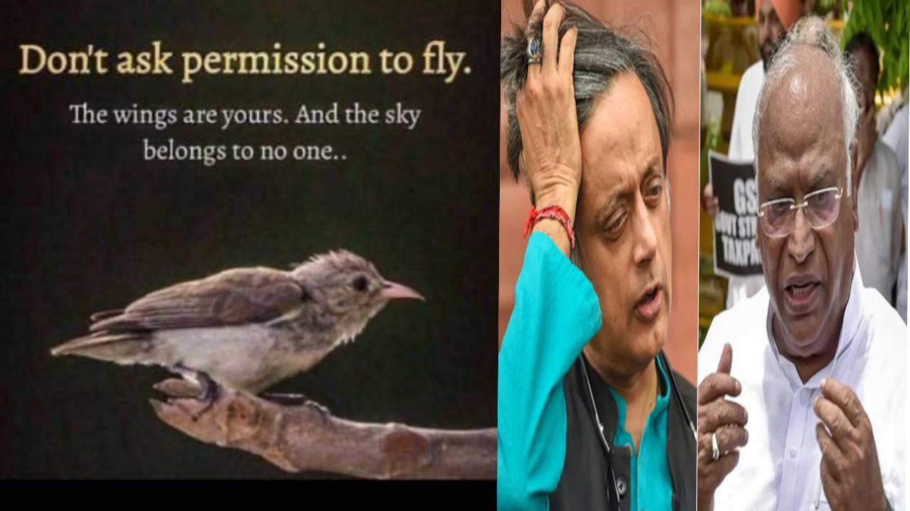 ​कांग्रेस अध्यक्ष खड़गे के तंज पर थरूर का पलटवार, लिखा-पंख आपके, आसमान किसी का नहीं..