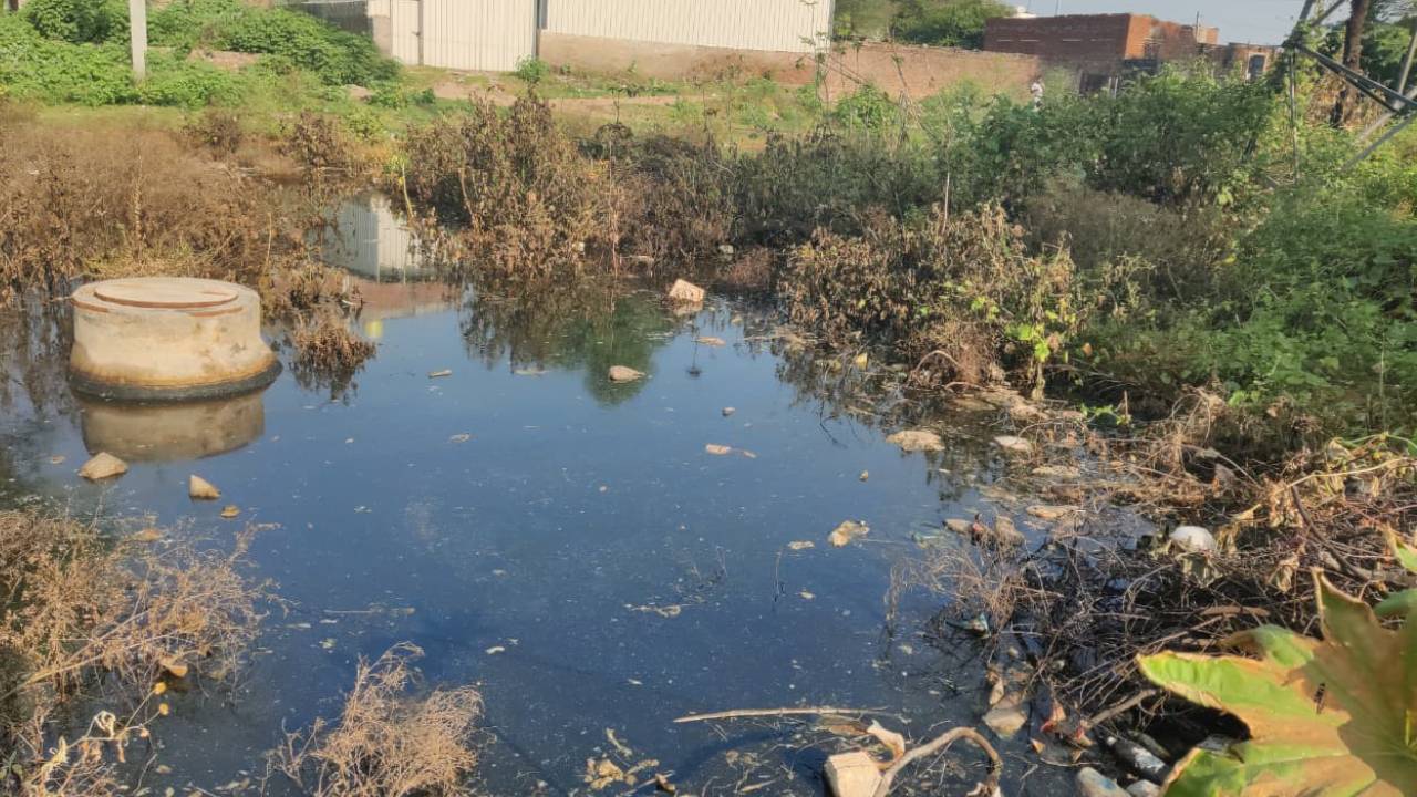 ​सीवरेज ट्रीटमेंट प्लांट की लाइन टूटी, रातल्या गांव में फैल रहा गंदा पानी, डेंगू का मंडरा रहा खतरा