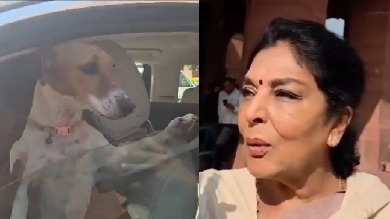 ​कांग्रेस सांसद रेणुका चौधरी संसद परिसर में कुत्ता लेकर पहुंचीं, बोलीं- यह काटता नहीं है, काटने वाले संसद में