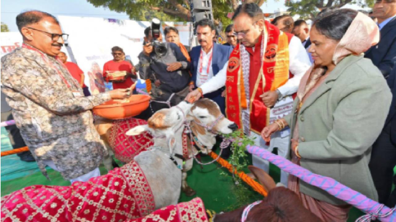 गौवंश के संरक्षण-संवर्धन के लिए निरंतर कार्य कर रही राज्य सरकार: भजनलाल  शर्मा