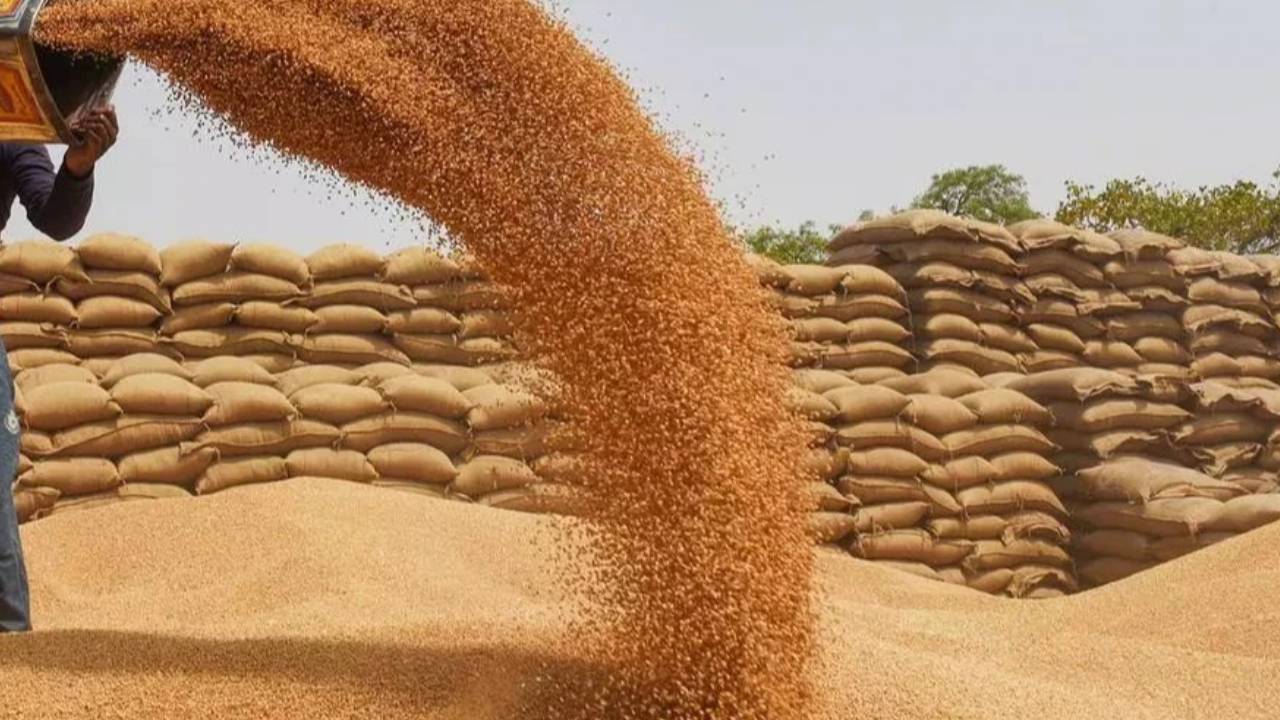 1 फरवरी से 'किसान रजिस्ट्रेशन पोर्टल' के माध्यम से गेहूँ विक्रय हेतु होंगे ऑनलाइन पंजीकरण