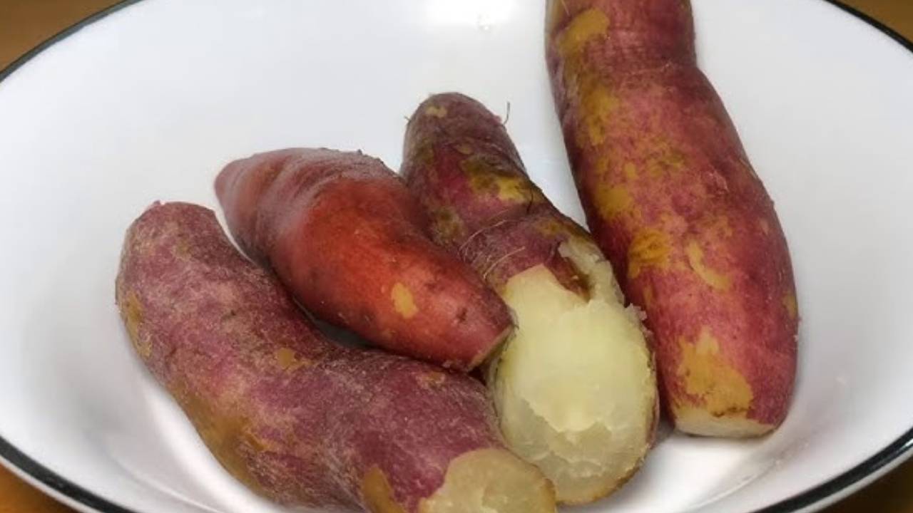 ​शकरकंद खाने का सही तरीका जानकर उठाए इसका ज्यादा लाभ