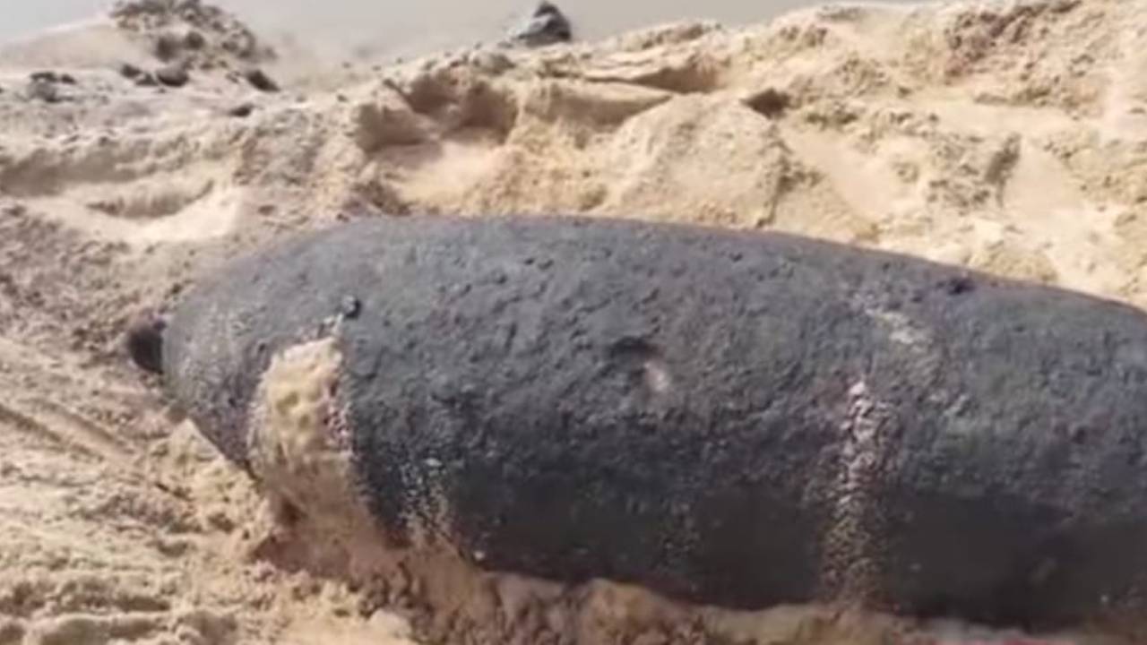 दामोदर नदी से निकले दूसरे विश्वयुद्ध के जिंदा मोर्टार शेल, पूरे इलाके में दहशत