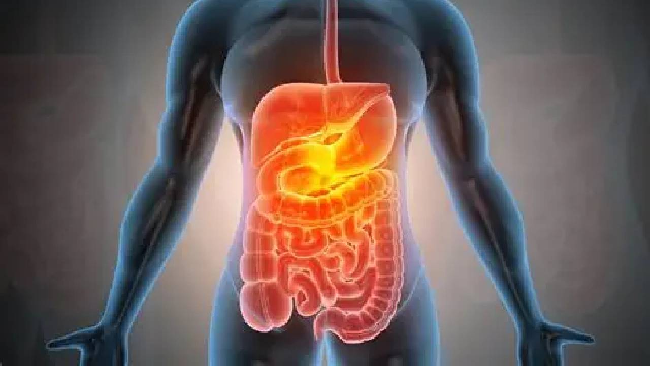 खाना अच्छे से पचता है या नहीं कैसे चलेगा पता? जानें