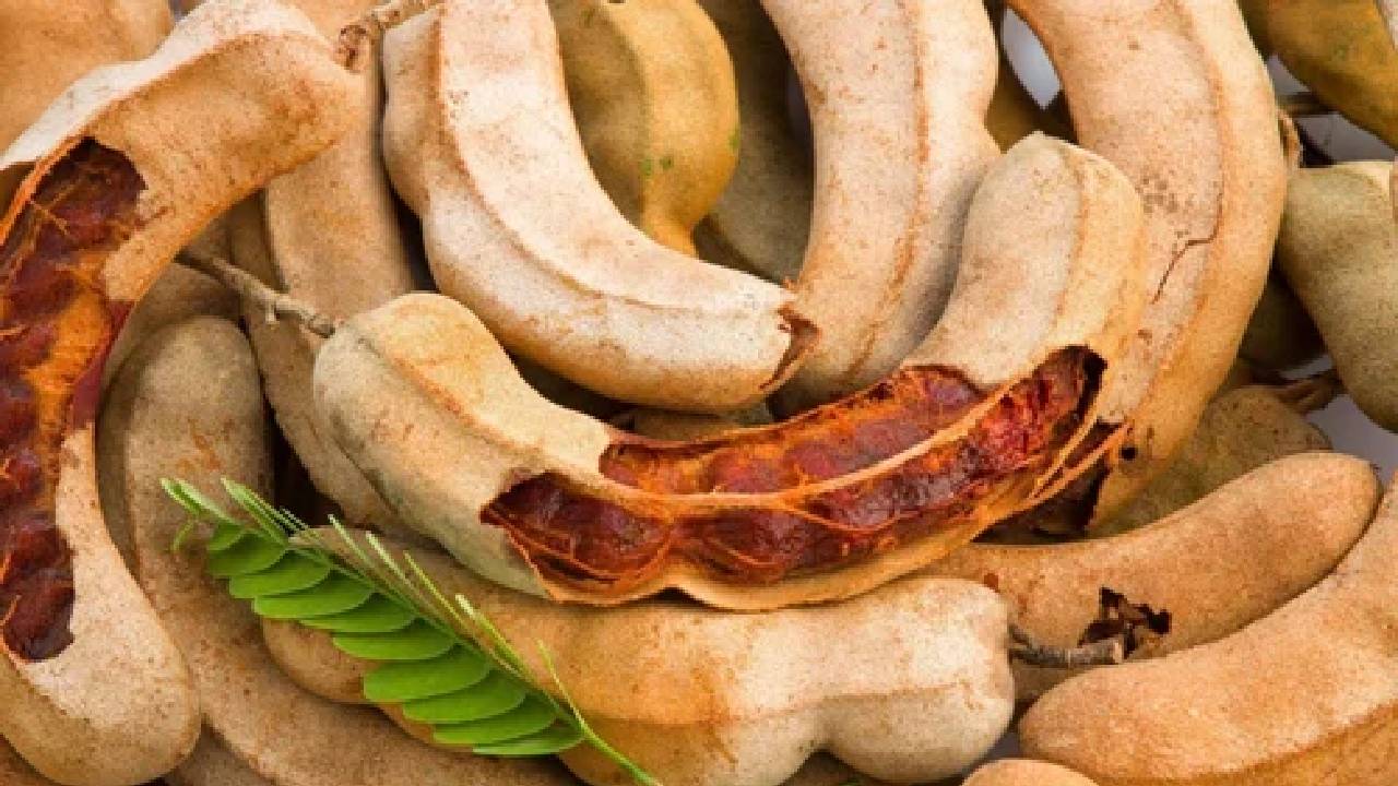 इमली के आसान उपाय: बंद किस्मत खोलने और धन लाभ के लिए असरदार उपाय