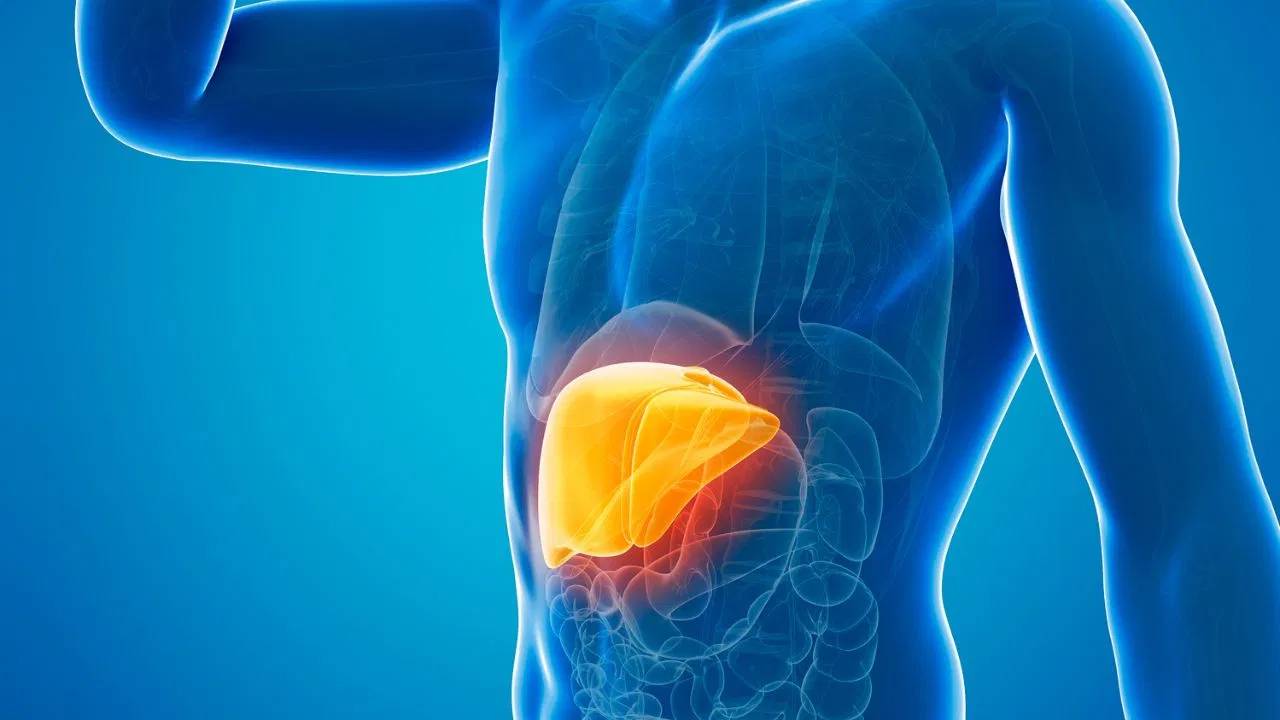 ​लिवर की सेहत का ध्यान रखेगी ये ड्रिंक्स, Fatty Liver ​होगा खत्म