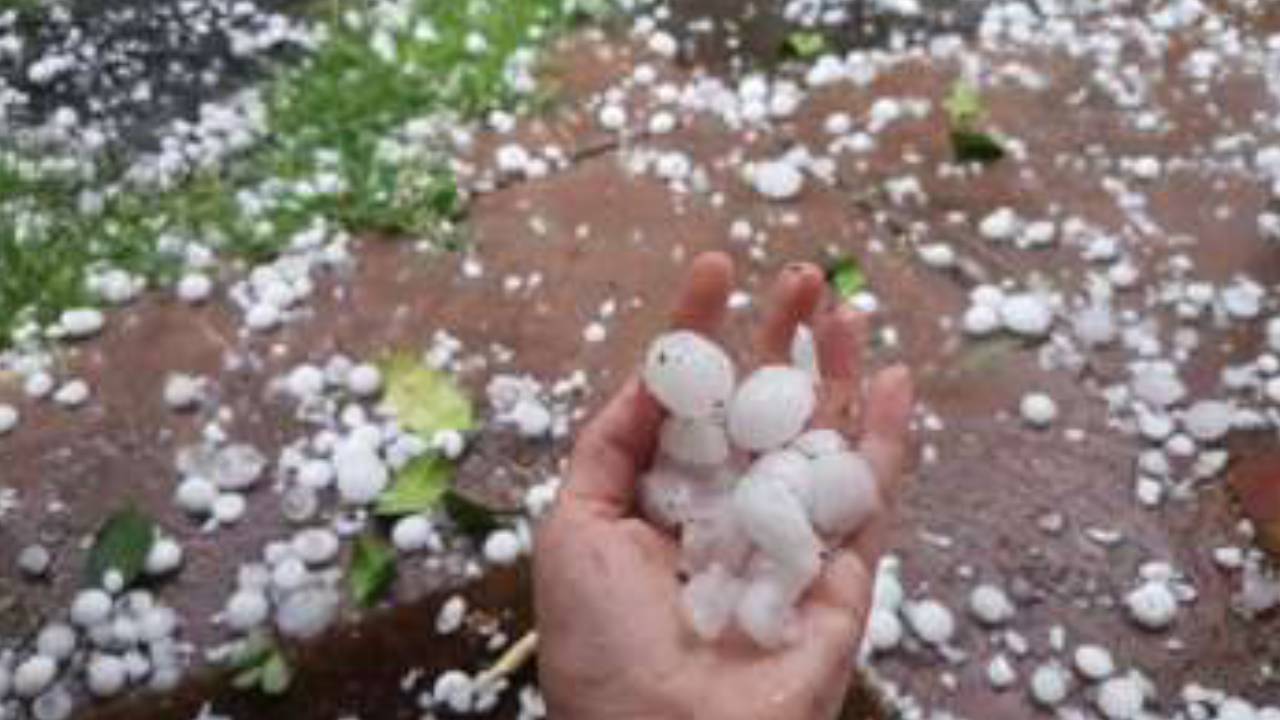 ​राजस्थान में आंधी-बारिश का भारी अलर्ट, किसानों को नहीं मिलेगी राहत