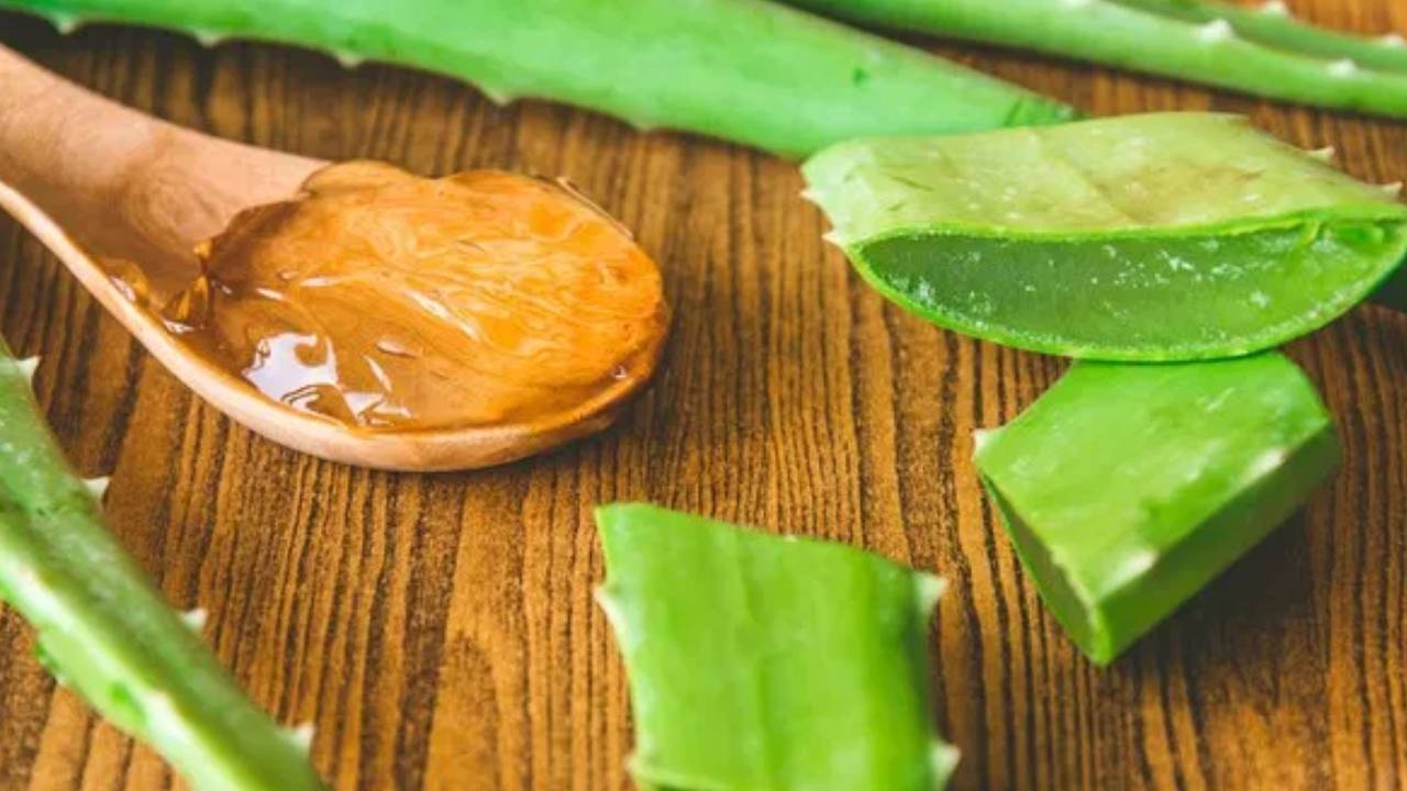 ​चेहरे पर कुरदरती निखार पाने के लिए एलोवेरा का ऐसे करें इस्तेमाल