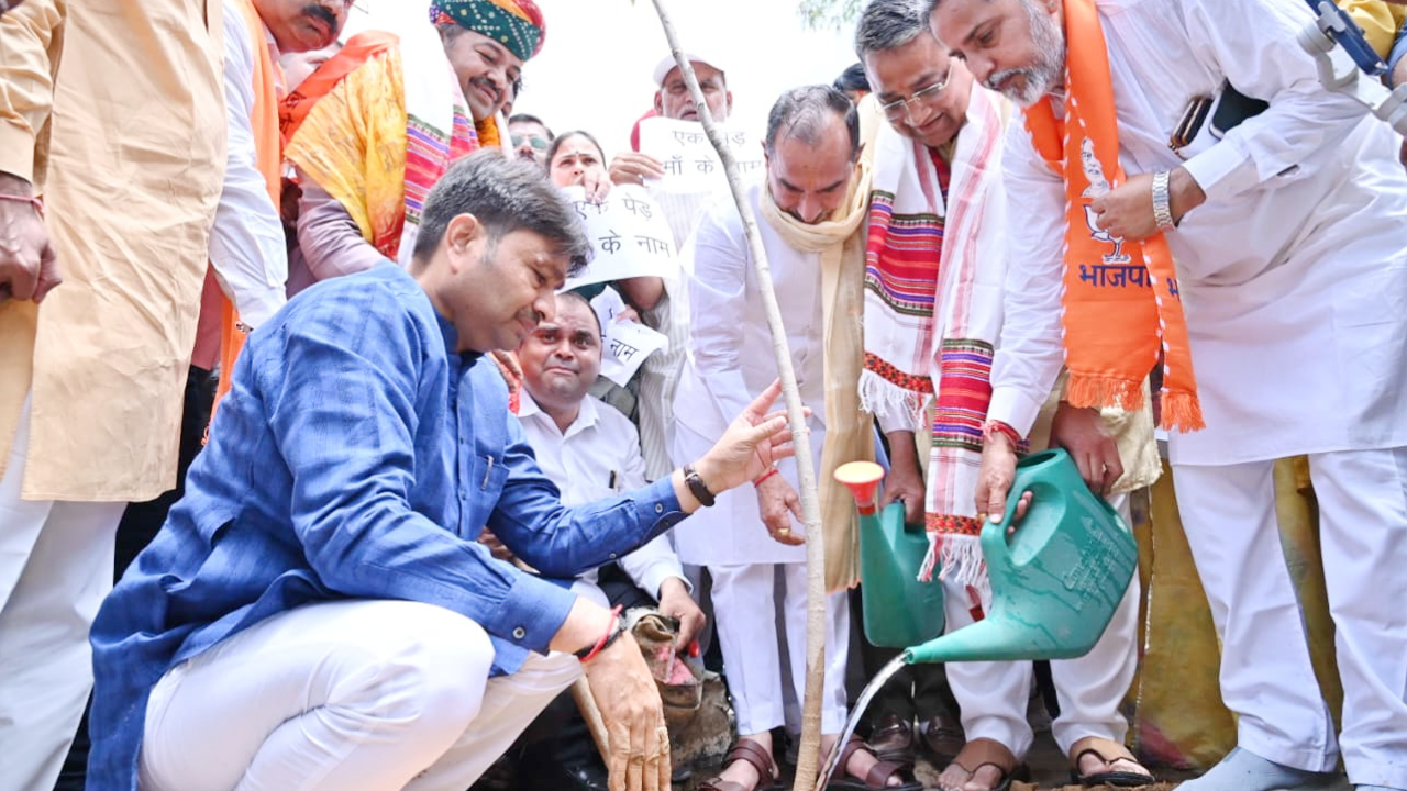 गहलोत पर मदन राठौड़ का पलटवार! बोले- एक पेड़ कटेगा तो 20 पौधे लगाए जाएंगे