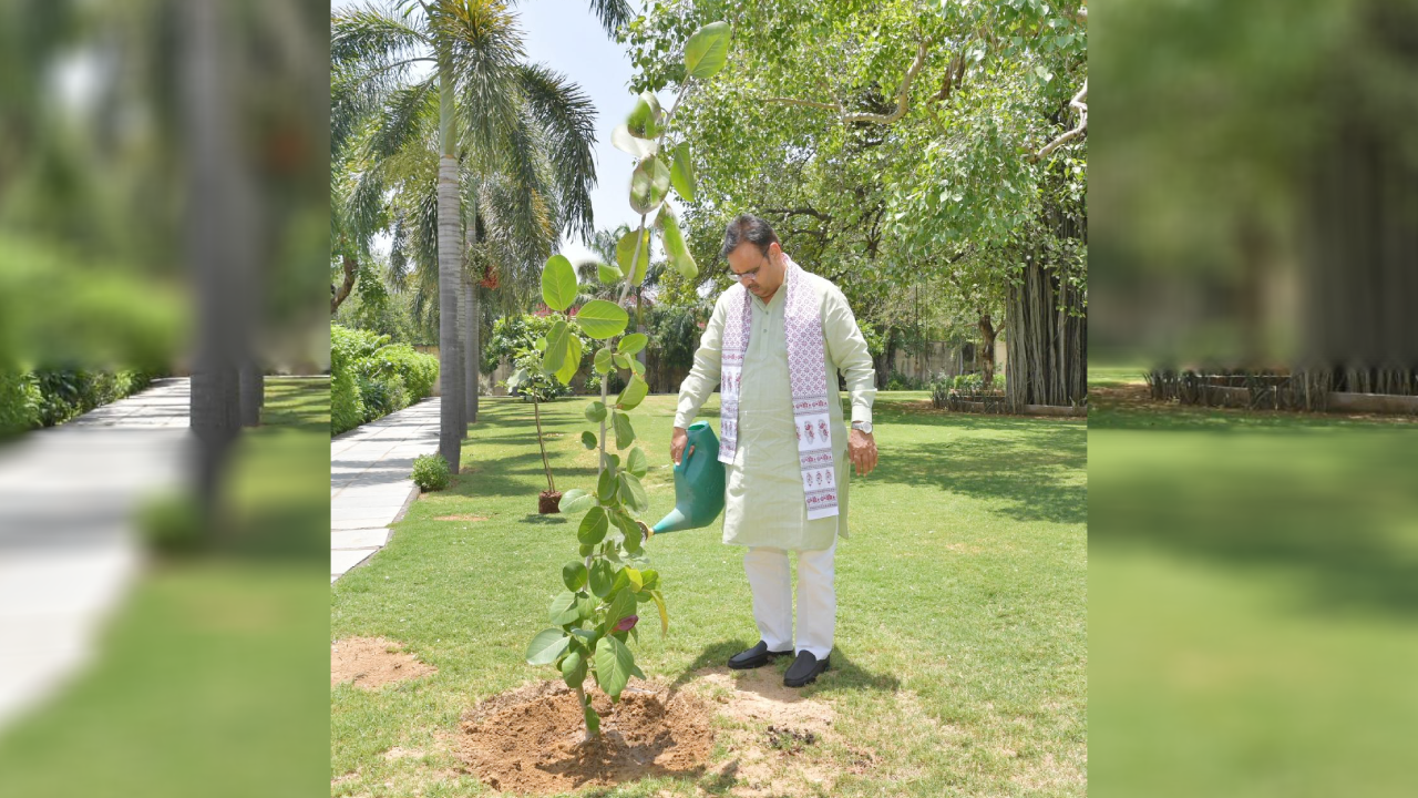 "हरित राजस्थान का महाप्लान! CM भजनलाल बोले—इस साल लगेंगे 10 करोड़ पौधे"
