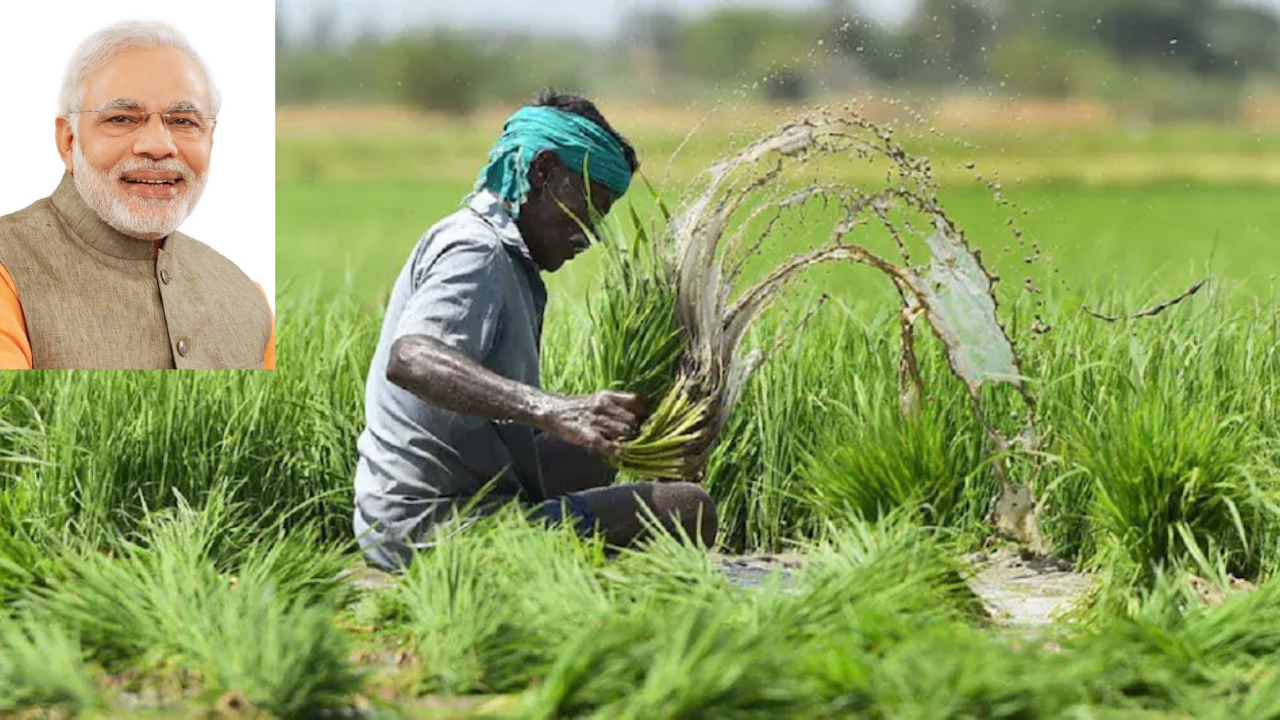 7,800 करोड़ का प्रीमियम, 35,600 करोड़ का क्लेम, किसानों को 4.5 गुना फायदा देकर राजस्थान ने रचा इतिहास