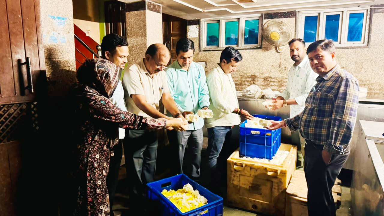'त्योहारों से पहले मिलावटखोरों पर टूटा प्रशासन का काल' जयपुर में 520 किलो सड़ा पनीर नष्ट, कई बड़े होटलों और ब्रांड्स पर शिकंजा